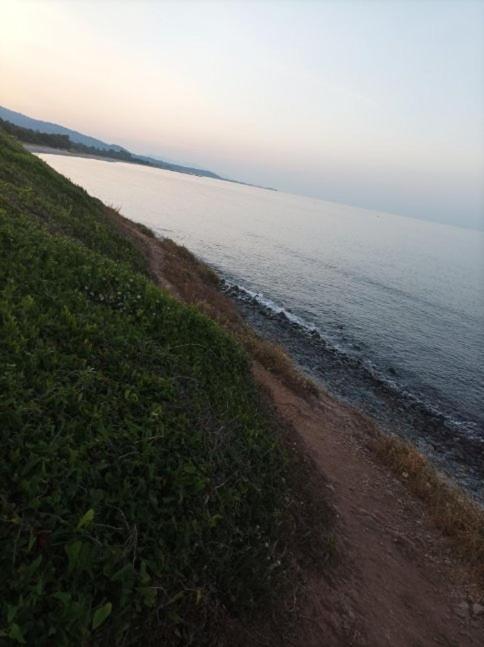Villa Climatisee A Nuciola Prunete Entre Mer, Montagne Et Piscine เซวิออน ภายนอก รูปภาพ