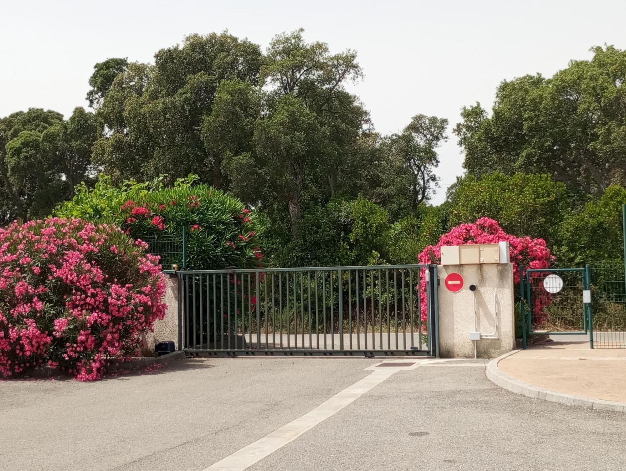 Villa Climatisee A Nuciola Prunete Entre Mer, Montagne Et Piscine เซวิออน ภายนอก รูปภาพ
