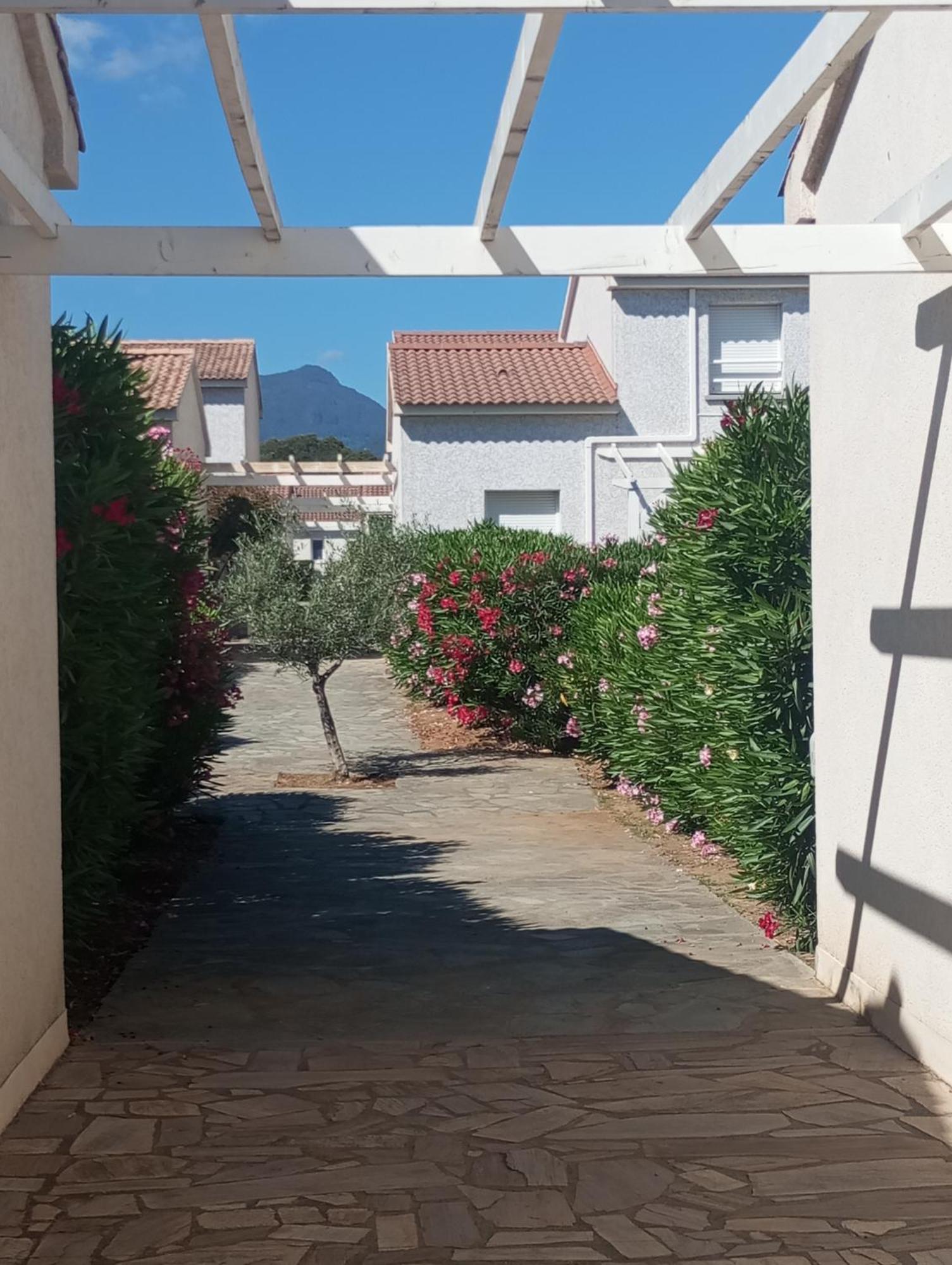 Villa Climatisee A Nuciola Prunete Entre Mer, Montagne Et Piscine เซวิออน ภายนอก รูปภาพ